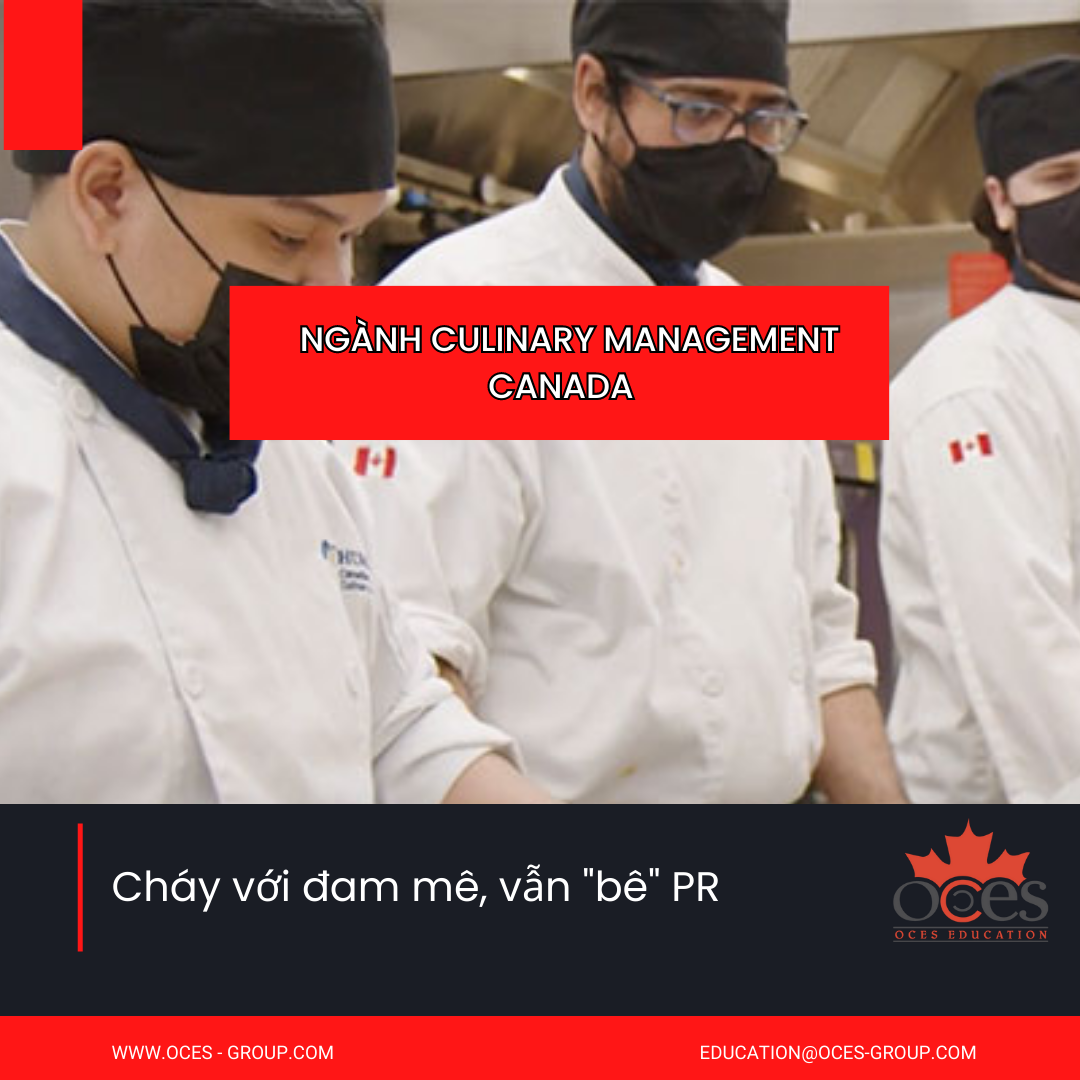 Ngành Culinary Management Canada - cháy với đam mê, vẫn bê PR